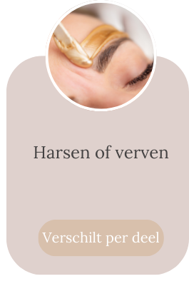 Harsen of Verven.png